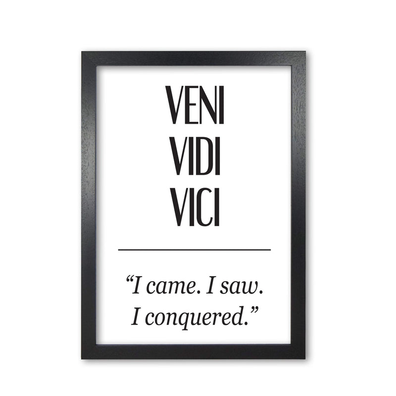 Veni vidi vici modern fine art print