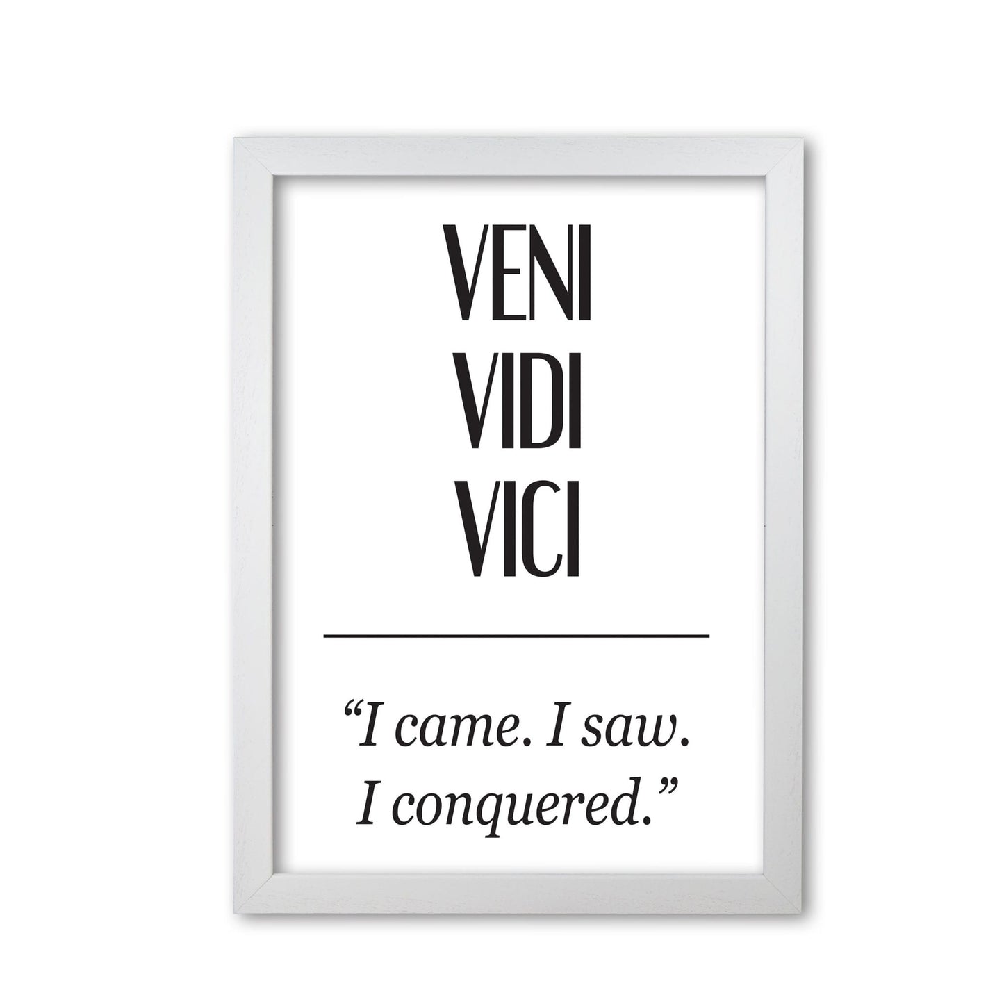 Veni vidi vici modern fine art print