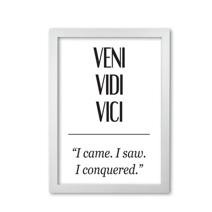 Veni vidi vici modern fine art print