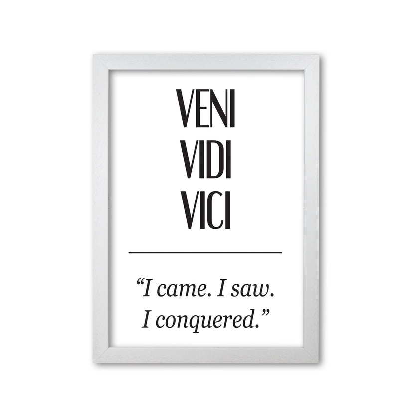Veni vidi vici modern fine art print