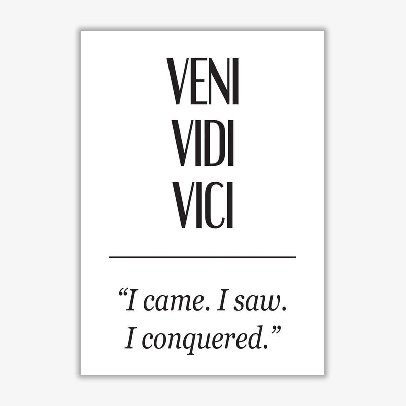 Veni vidi vici modern fine art print