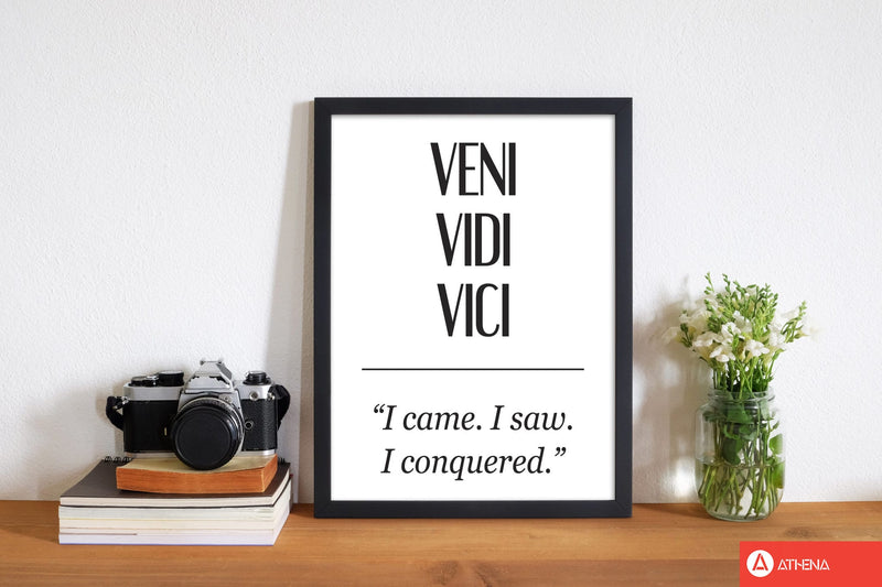 Veni vidi vici modern fine art print