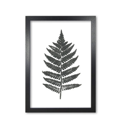 Vintage fern modern fine art print, framed botanical &#038; nature art print