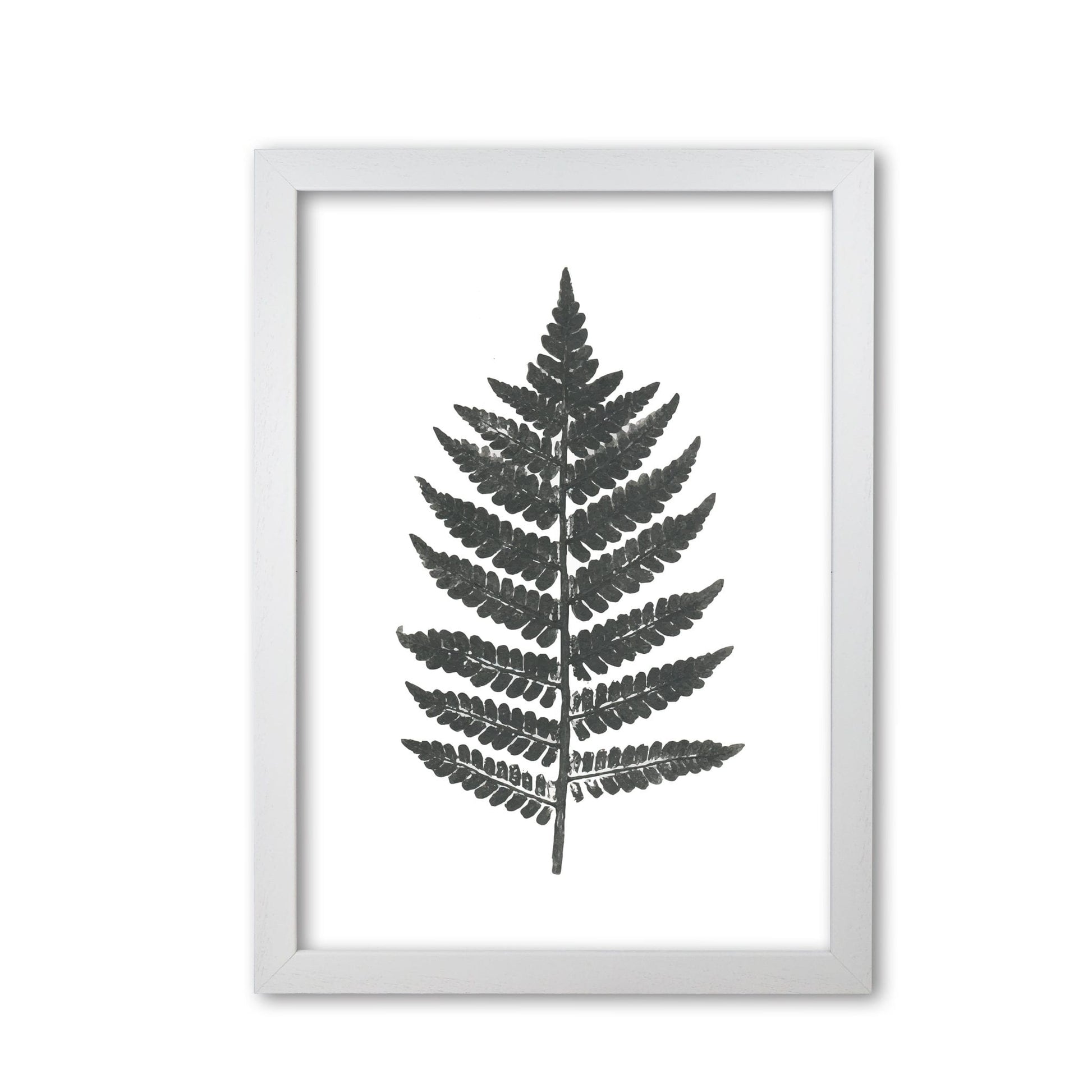 Vintage fern modern fine art print, framed botanical &#038; nature art print