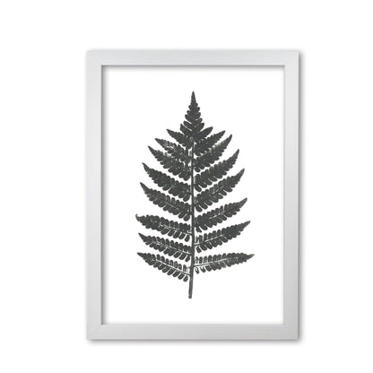 Vintage fern modern fine art print, framed botanical &#038; nature art print