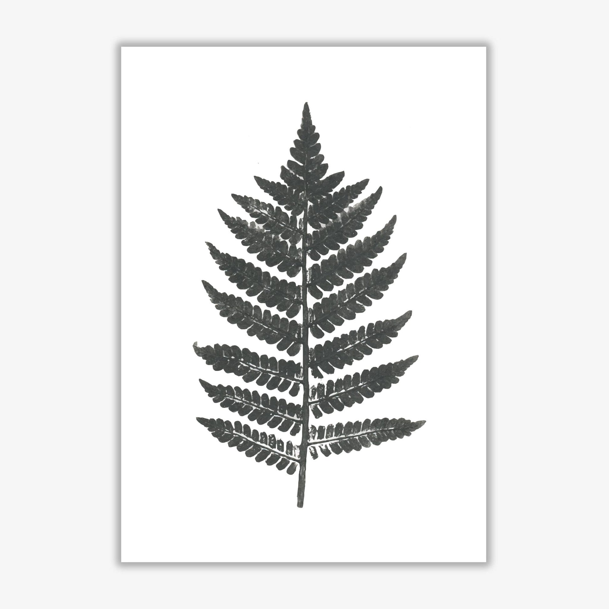 Vintage fern modern fine art print, framed botanical &#038; nature art print