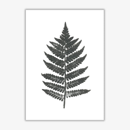 Vintage fern modern fine art print, framed botanical &#038; nature art print