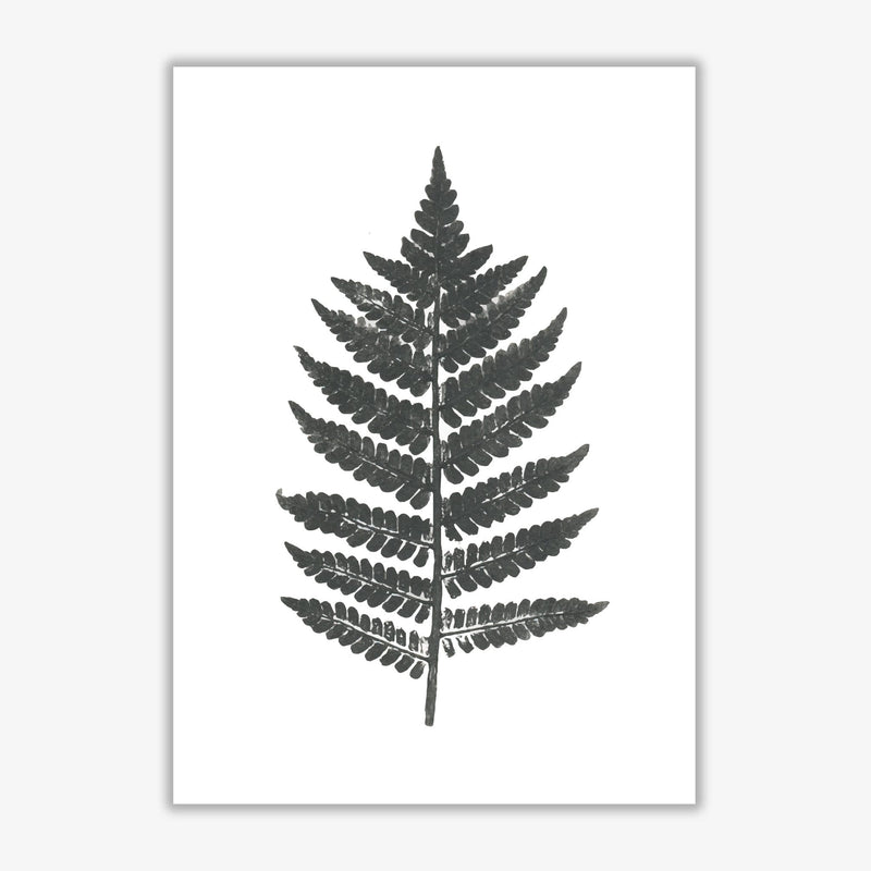 Vintage fern modern fine art print, framed botanical &