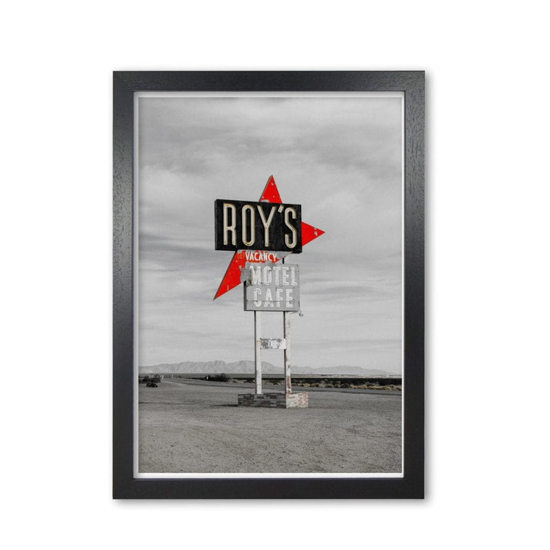 Vintage roy&